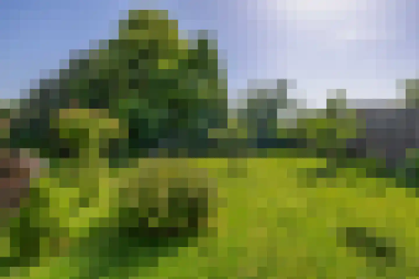 Dr. Calsstraat 14 Landgraaf thumbnail 33