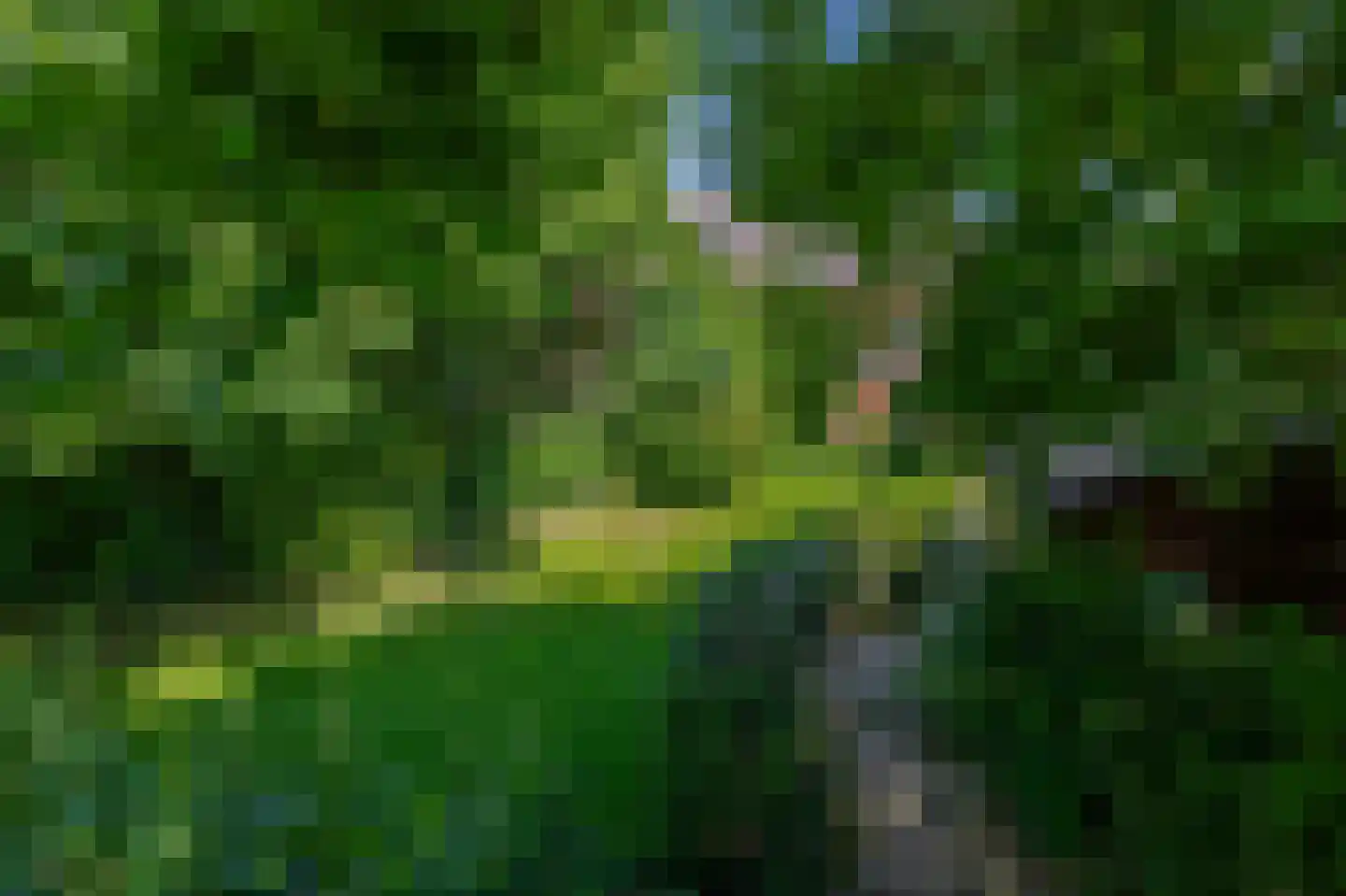 Dr. Calsstraat 14 Landgraaf thumbnail 41