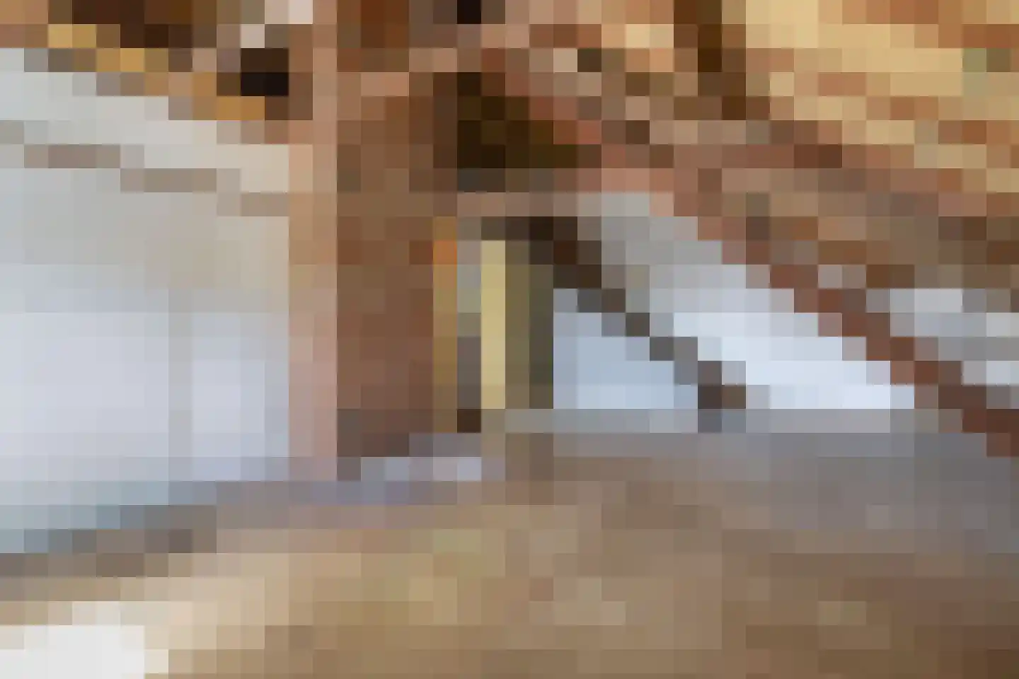 Dr. Calsstraat 14 Landgraaf thumbnail 69