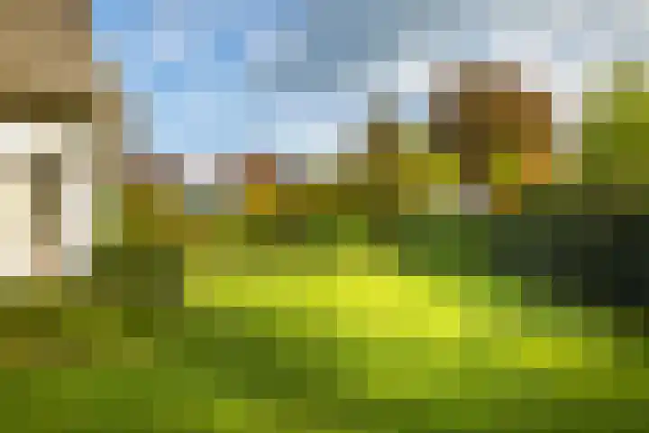 Dr. Cartier van Disselweg 4 Lochem thumbnail 10