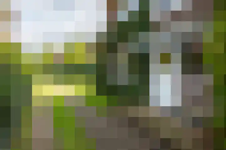 Dr. Cartier van Disselweg 4 Lochem thumbnail 12