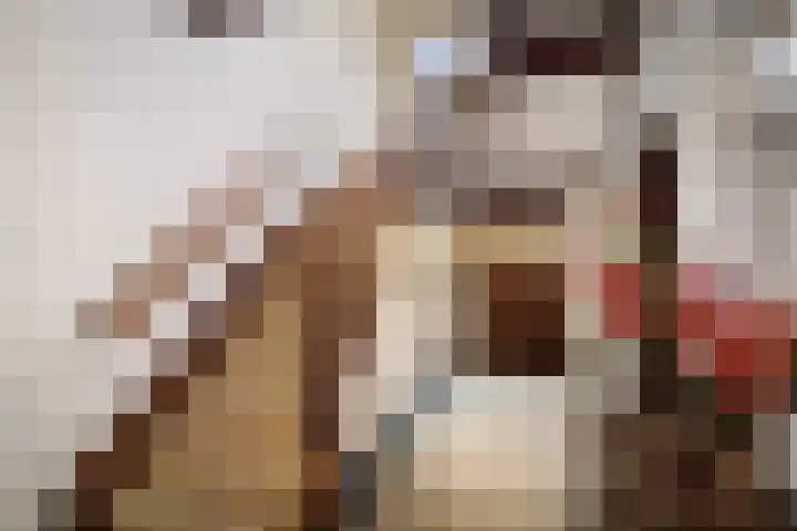 Dr. Cartier van Disselweg 4 Lochem thumbnail 13