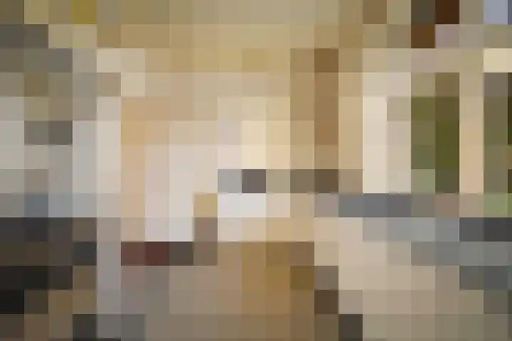 Dr. Cartier van Disselweg 4 Lochem thumbnail 16