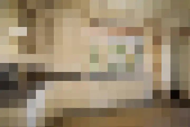 Dr. Cartier van Disselweg 4 Lochem thumbnail 17