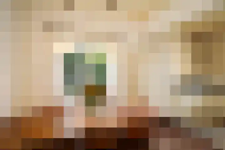 Dr. Cartier van Disselweg 4 Lochem thumbnail 23