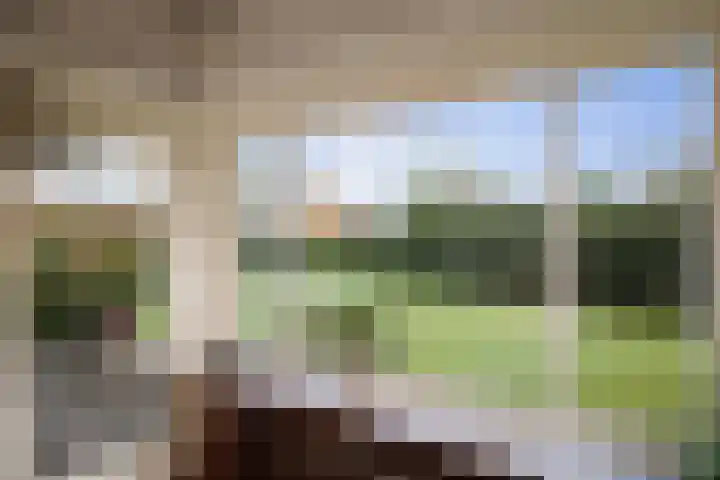 Dr. Cartier van Disselweg 4 Lochem thumbnail 25