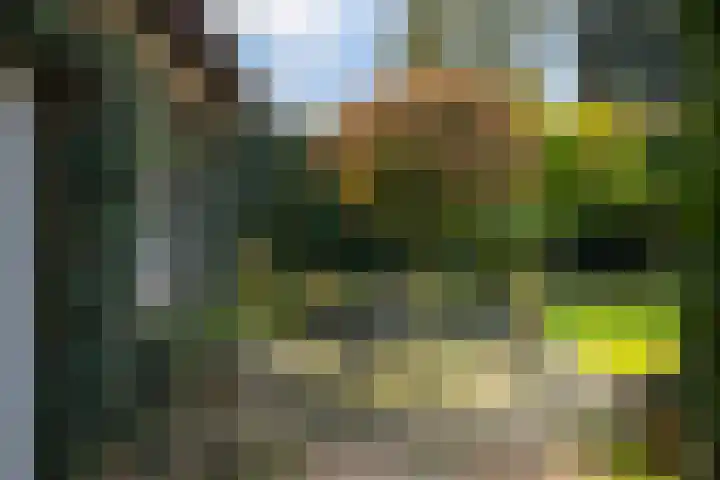 Dr. Cartier van Disselweg 4 Lochem thumbnail 27