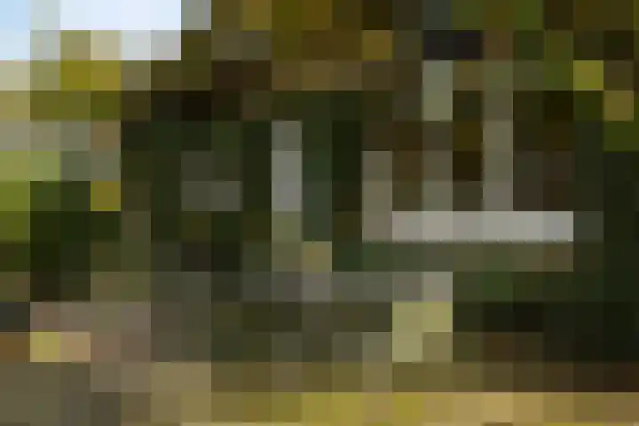 Dr. Cartier van Disselweg 4 Lochem thumbnail 28