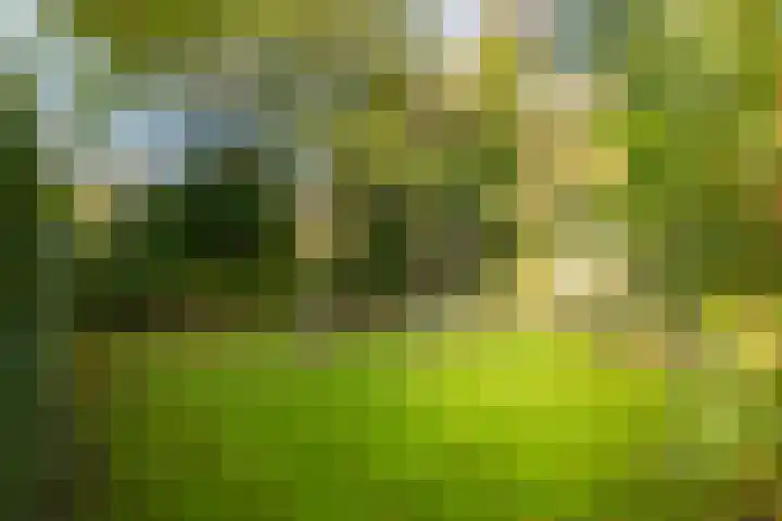 Dr. Cartier van Disselweg 4 Lochem thumbnail 29