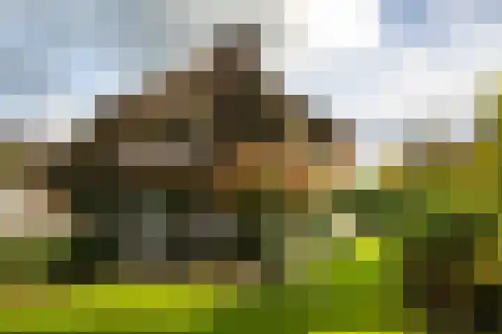 Dr. Cartier van Disselweg 4 Lochem thumbnail 30