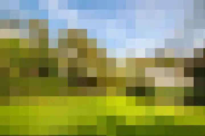 Dr. Cartier van Disselweg 4 Lochem thumbnail 31