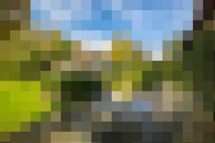 Dr. Cartier van Disselweg 4 Lochem thumbnail 32