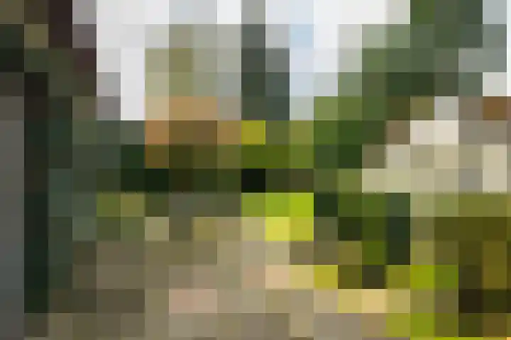 Dr. Cartier van Disselweg 4 Lochem thumbnail 33