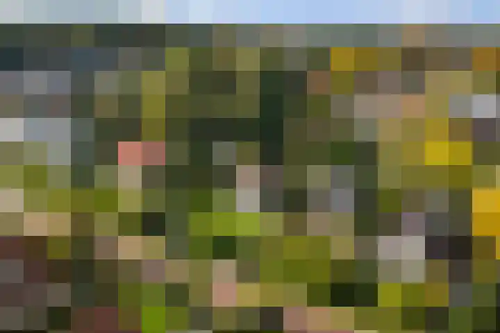 Dr. Cartier van Disselweg 4 Lochem thumbnail 34