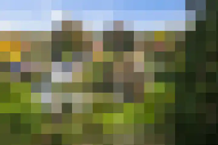 Dr. Cartier van Disselweg 4 Lochem thumbnail 35