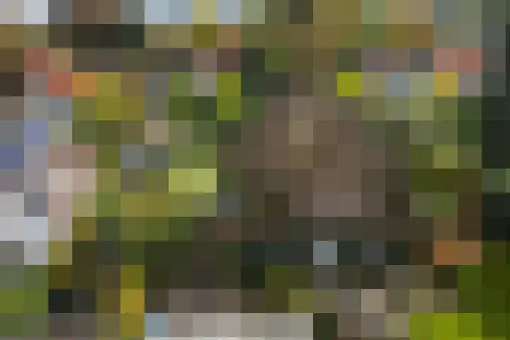 Dr. Cartier van Disselweg 4 Lochem thumbnail 36
