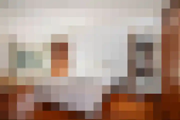 Dr. Cartier van Disselweg 4 Lochem thumbnail 42