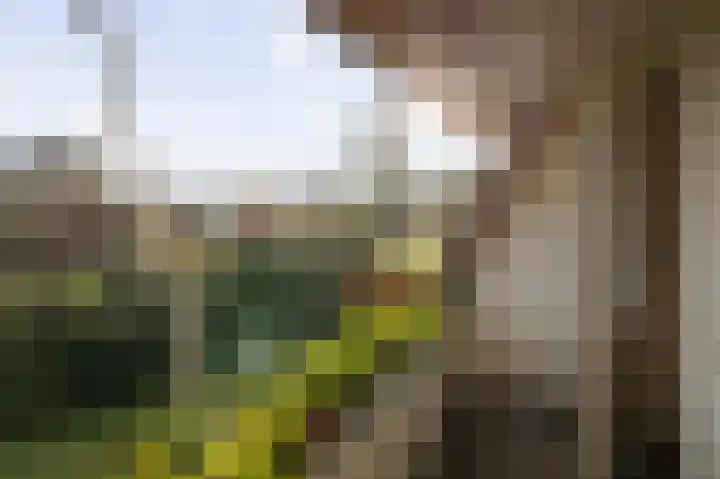 Dr. Cartier van Disselweg 4 Lochem thumbnail 44