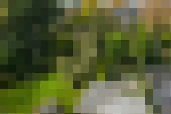 Dr. Cartier van Disselweg 4 Lochem thumbnail 55