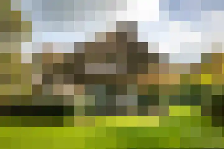 Dr. Cartier van Disselweg 4 Lochem thumbnail 56