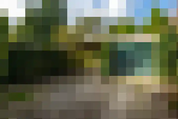 Dr. Cartier van Disselweg 4 Lochem thumbnail 58