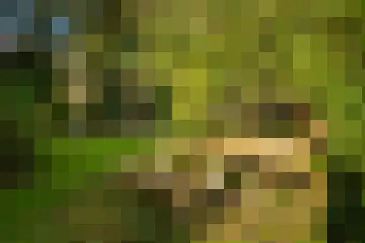 Dr. Cartier van Disselweg 4 Lochem thumbnail 59