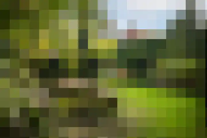 Dr. Cartier van Disselweg 4 Lochem thumbnail 60