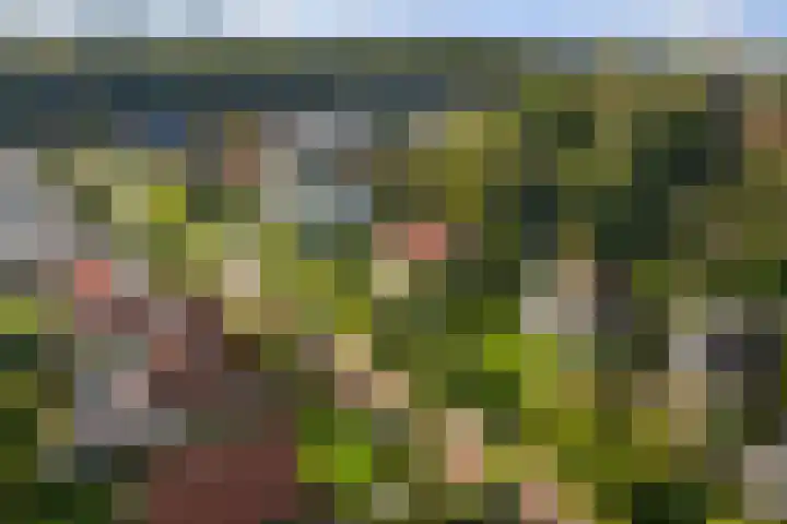 Dr. Cartier van Disselweg 4 Lochem thumbnail 8