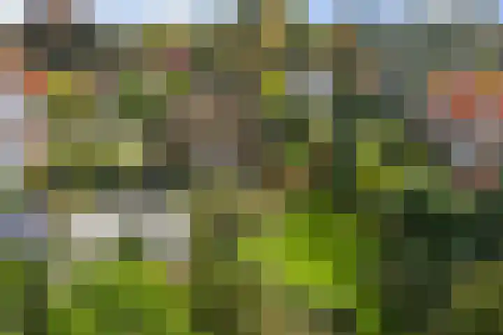 Dr. Cartier van Disselweg 4 Lochem thumbnail 9