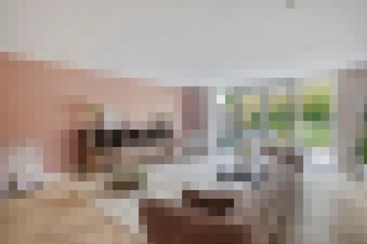 dr. Chris Soumokilstraat 13 Woerden thumbnail 17