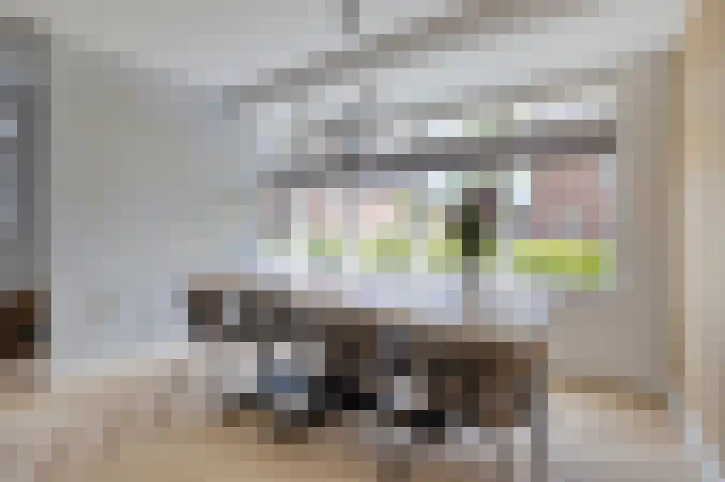 dr. Chris Soumokilstraat 13 Woerden thumbnail 20