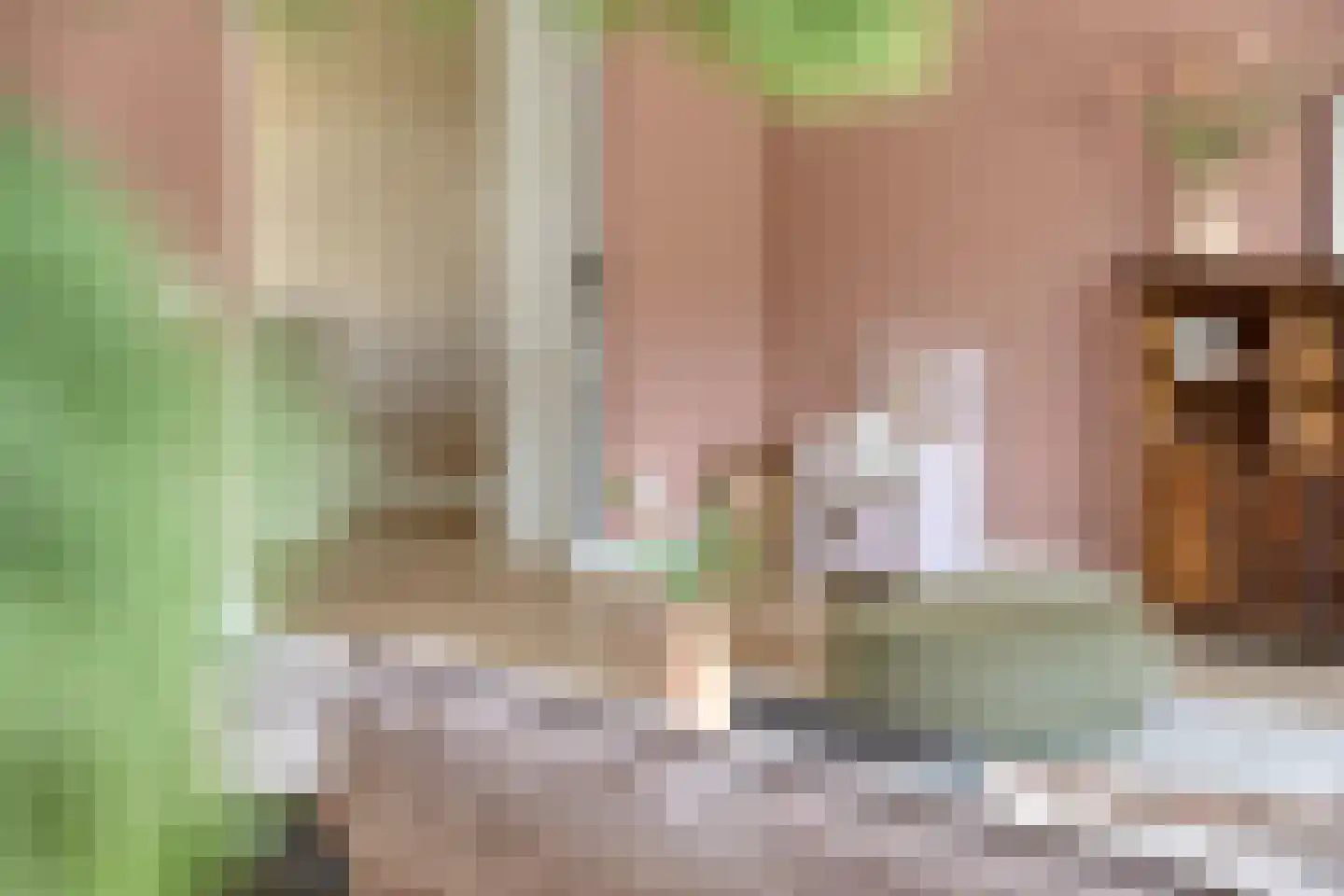 dr. Chris Soumokilstraat 13 Woerden thumbnail 21