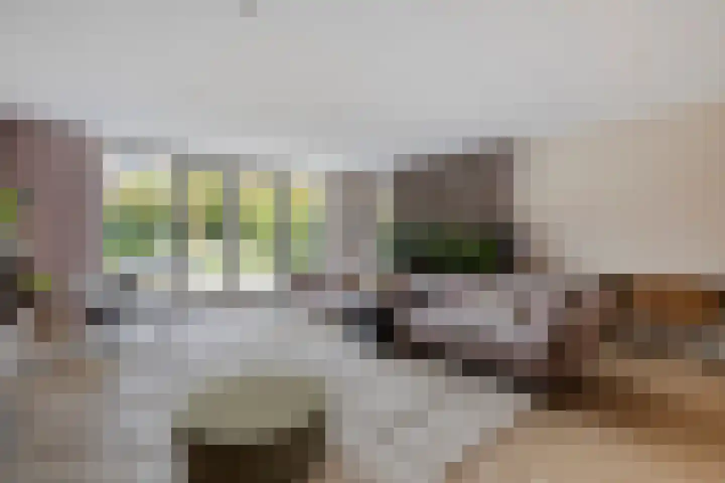 dr. Chris Soumokilstraat 13 Woerden thumbnail 4