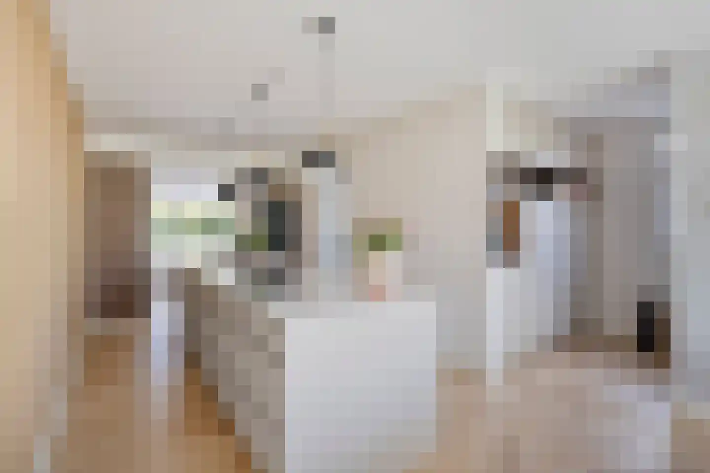 dr. Chris Soumokilstraat 13 Woerden thumbnail 6