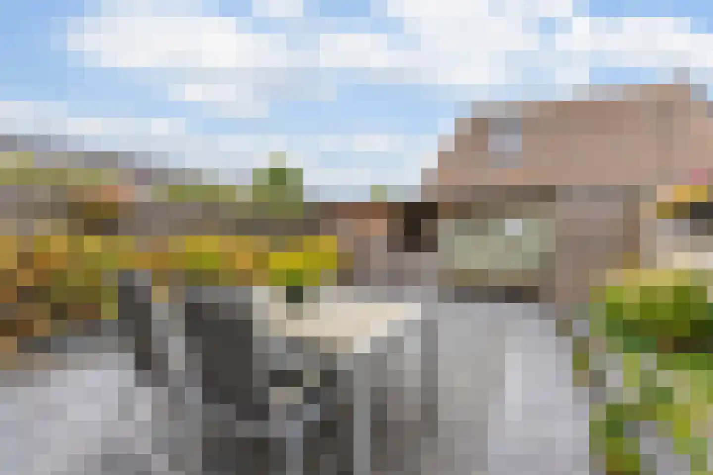 Dr. Christine Baderstraat 31 Arnhem thumbnail 15