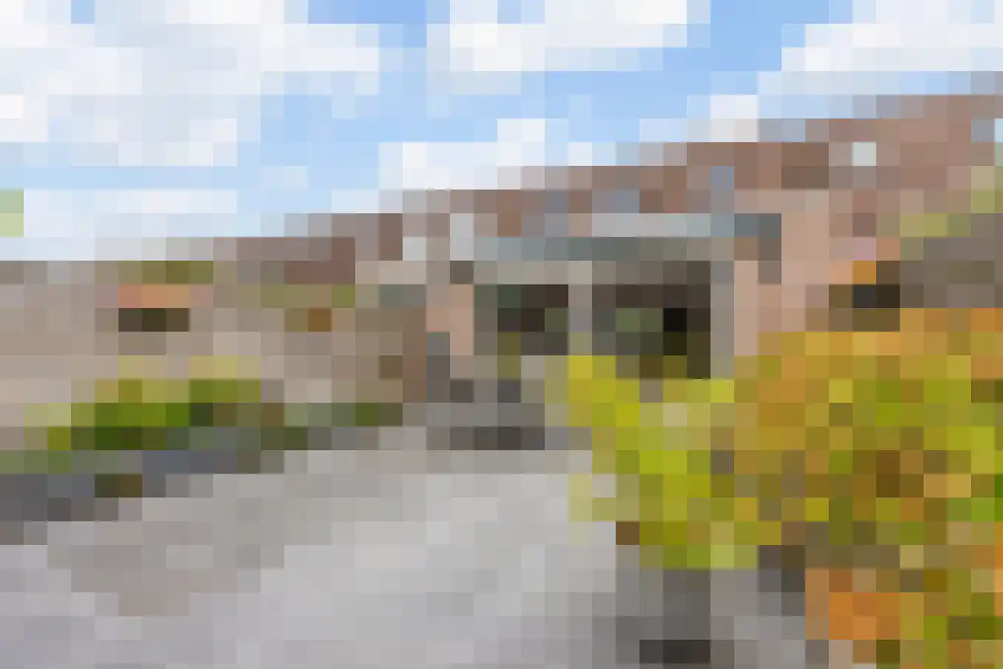 Dr. Christine Baderstraat 31 Arnhem thumbnail 16