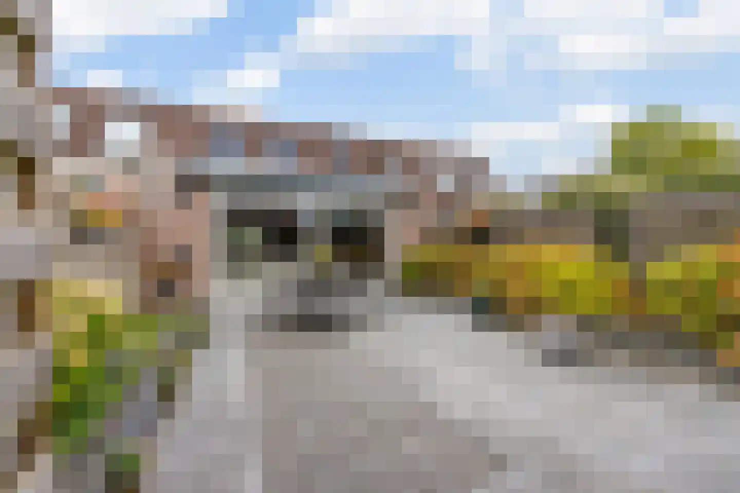 Dr. Christine Baderstraat 31 Arnhem thumbnail 17