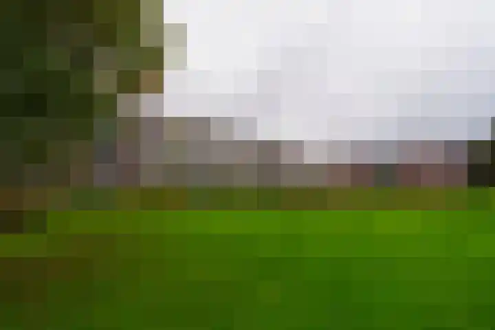 Dr. Claas Noorduijnstraat 11 A 30 Nijmegen thumbnail 31