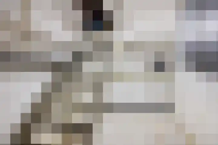 Dr. Clemens Meulemanstraat 86 Heerlen thumbnail 27