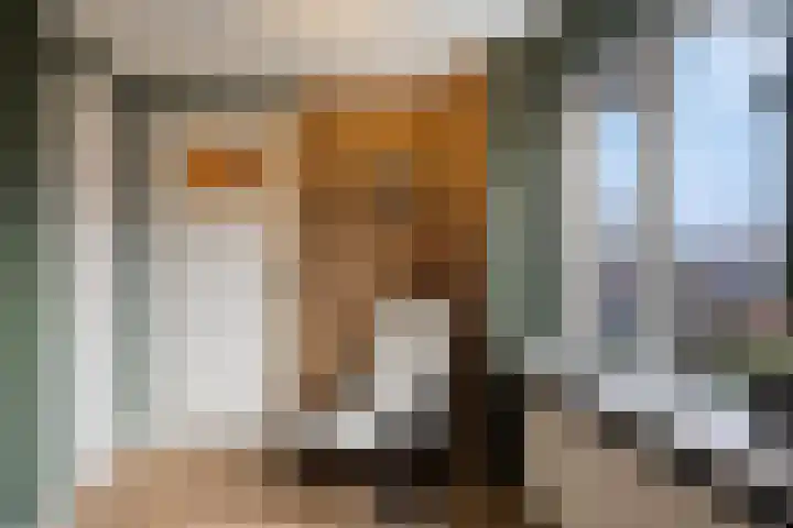 Dr. Colijnstraat 113 Veenendaal thumbnail 18