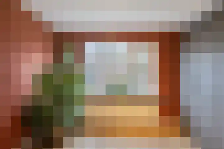 Dr. Colijnstraat 113 Veenendaal thumbnail 20