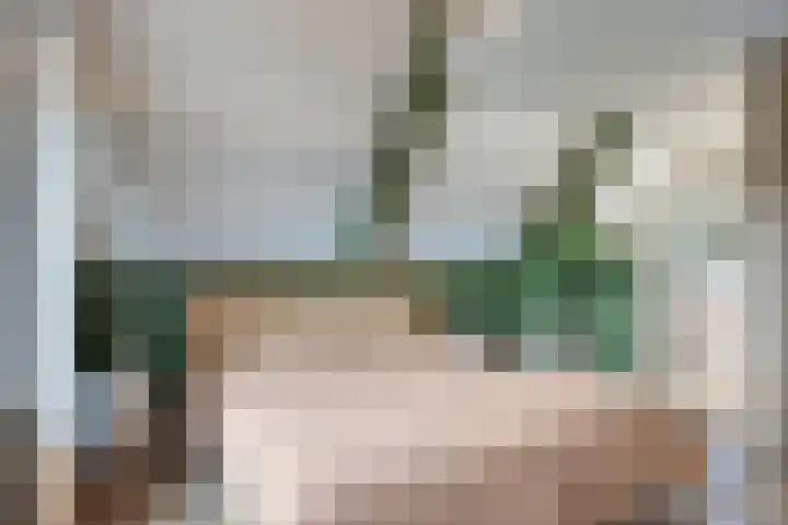 Dr. Colijnstraat 113 Veenendaal thumbnail 27