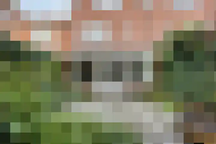 Dr. Colijnstraat 113 Veenendaal thumbnail 33