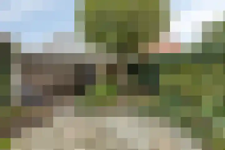 Dr. Colijnstraat 113 Veenendaal thumbnail 34
