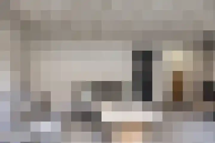 Dr. Colijnstraat 113 Veenendaal thumbnail 35