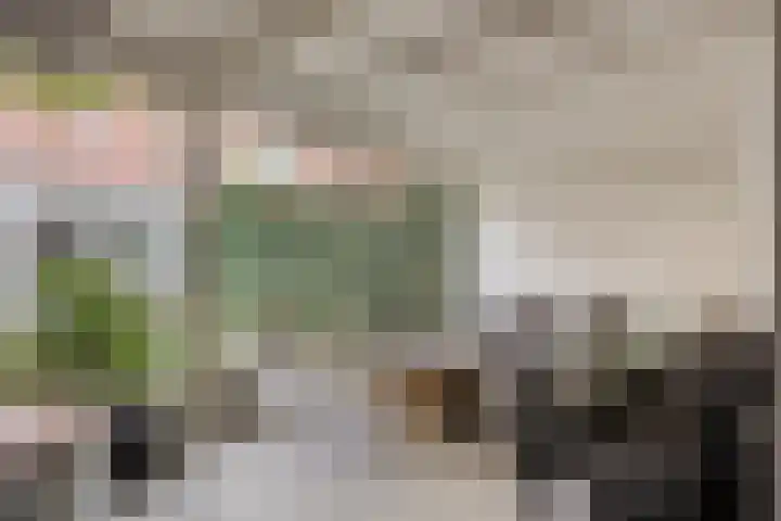 Dr. Colijnstraat 113 Veenendaal thumbnail 36