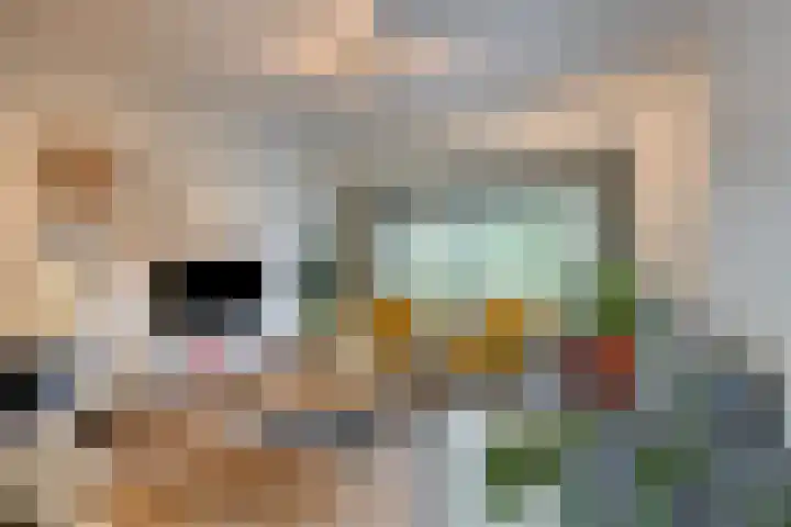 Dr. Colijnstraat 113 Veenendaal thumbnail 4