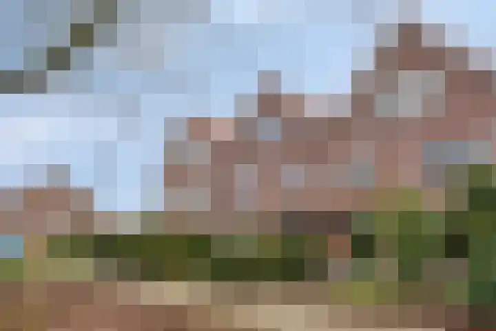 Dr. Colijnstraat 113 Veenendaal thumbnail 42