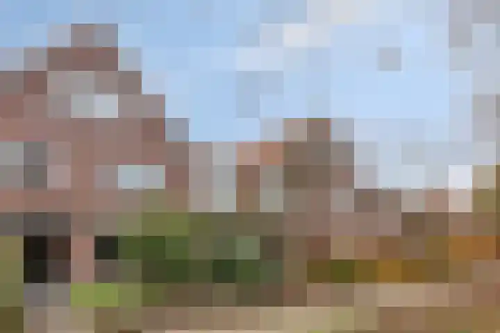 Dr. Colijnstraat 113 Veenendaal thumbnail 43