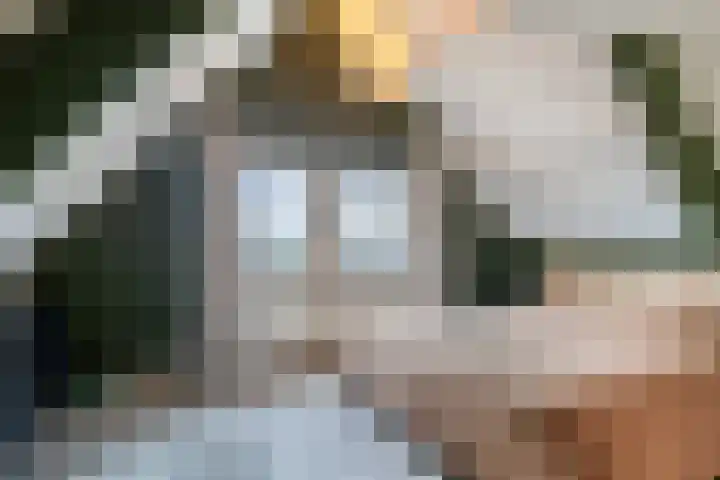 Dr. Colijnstraat 113 Veenendaal thumbnail 5